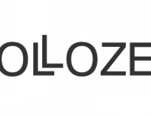 Pollozek